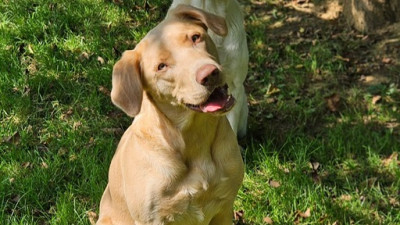 PHOTO-2026-03-04-09-08-55.400x225-crop.jpg